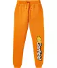 jungen-garfield-jogginghose-orange-119063117070_1707_HB_B_EP_01.jpg