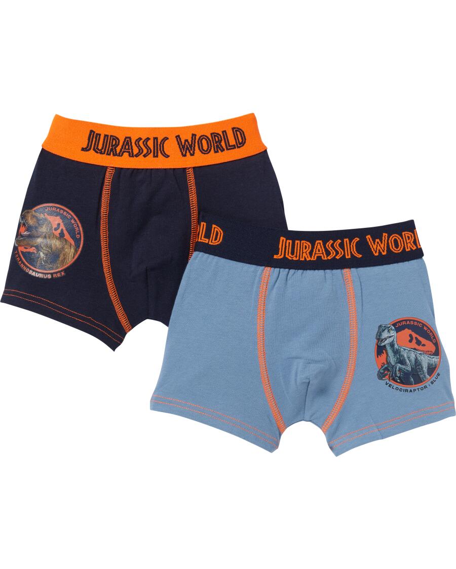Lizenz Boxershorts dunkelblau