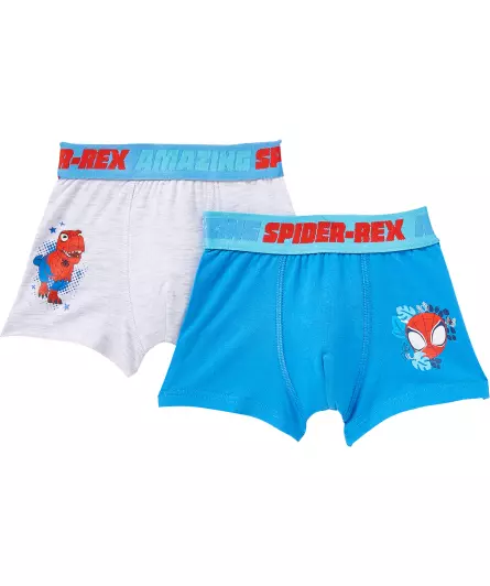 Lizenz Boxershorts