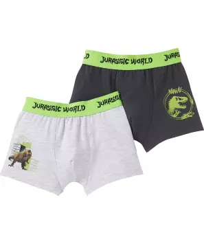 Lizenz Boxershorts