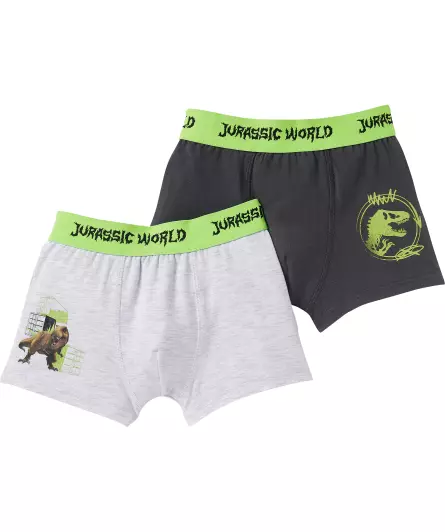 Lizenz Boxershorts