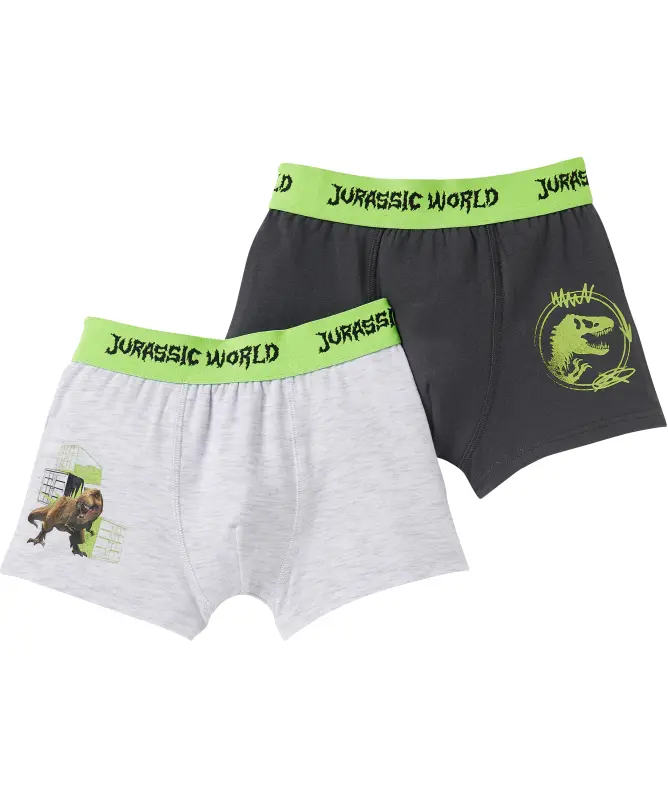 Lizenz Boxershorts