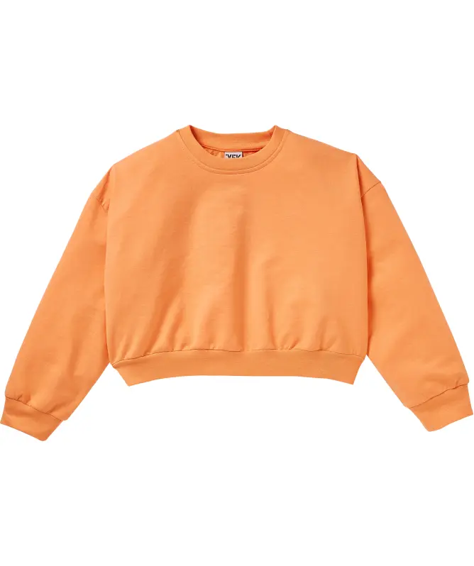 Bluza
