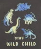 jungen-t-shirts-dinos-grau-gruen-119154511320_1132_DB_L_EP_01.jpg