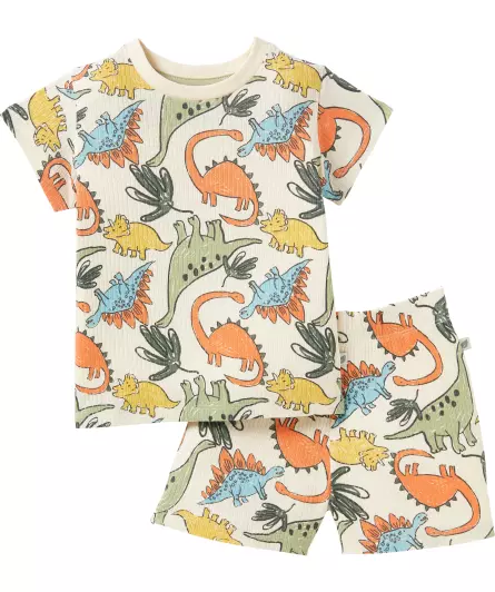Pyjama Dinosaurier