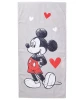 disney-strandlaken-mickey-maus-motiv-119310580740_8074_HB_H_EP_01.jpg