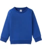 jungen-schlichtes-sweatshirt-royalblau-119314613430_1343_HB_L_EP_01.jpg