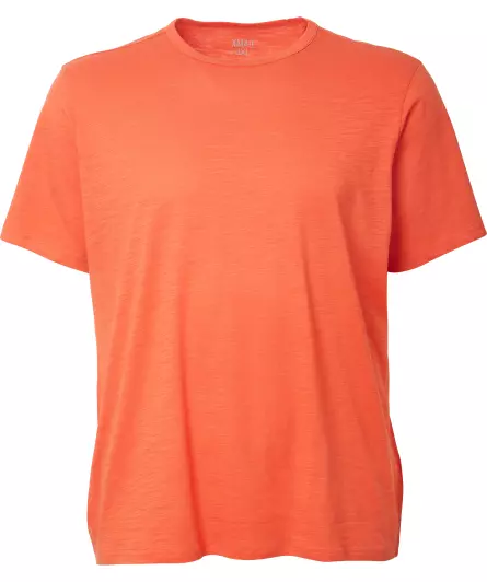 Basic T-Shirt