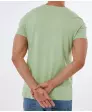 t-shirt-mit-schriftzug-gruen-119343818070_1807_NB_M_EP_01.jpg