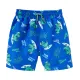 Badeshorts Dinos