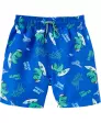 Badeshorts Dinos