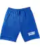 Sport-Shorts in Bermudalänge blau