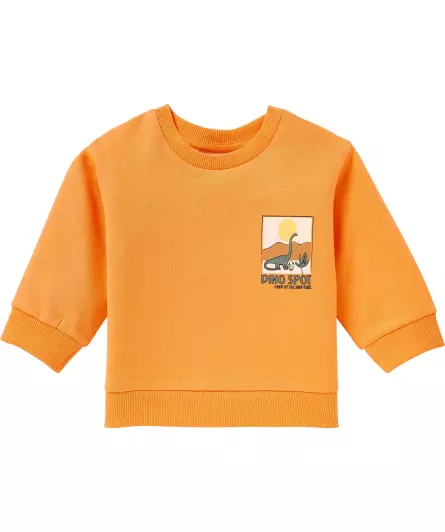 Sweatshirt Dino