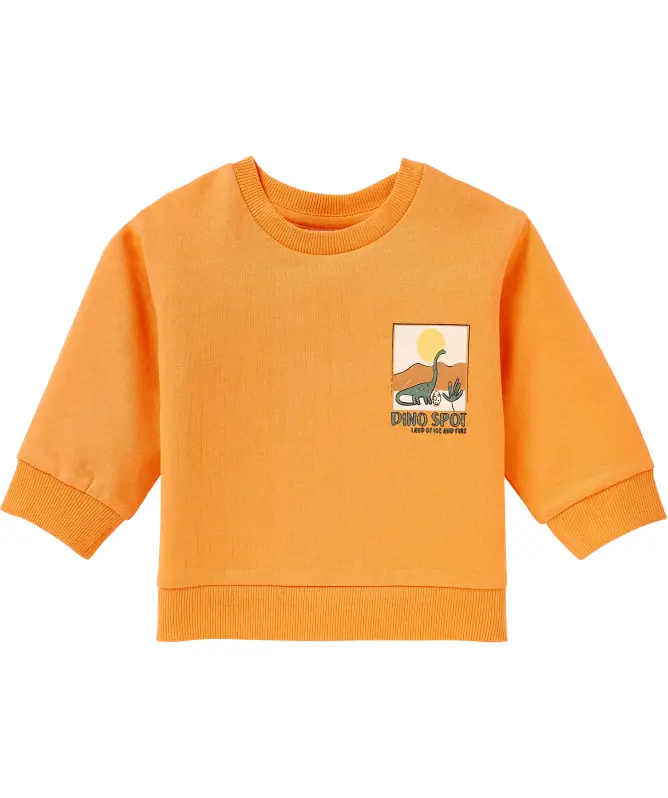 Bluza Dino