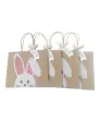 geschenktueten-ostern-braun-1194161003_2014_NB_H_KIK_01.jpg