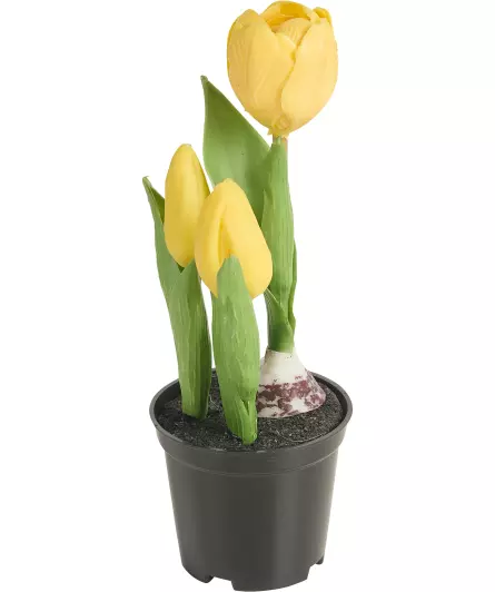 Kunstblume Frühling