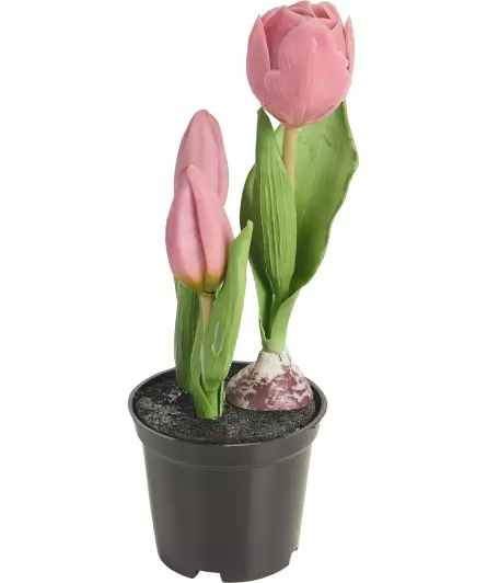 Kunstblume