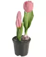 Kunstblume
