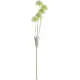 Kunstblume