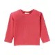 Shirt met lange mouwen + spijkerjurk