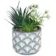 Kunst vetplant