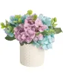 lila/blauw