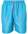 badeshorts-flamingos-hellblau-119554413000_1300_HB_B_EP_01.jpg