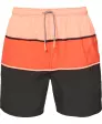 badeshorts-mit-blockstreifen-schwarz-119554510000_1000_HB_B_EP_01.jpg