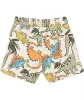 babys-shorts-dinos-hellorange-119583717000_1700_NB_L_EP_01.jpg