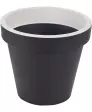 antraciet