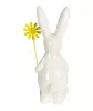 deko-hase-ostern-gelb-119649014070_1407_NB_H_KIK_03.jpg