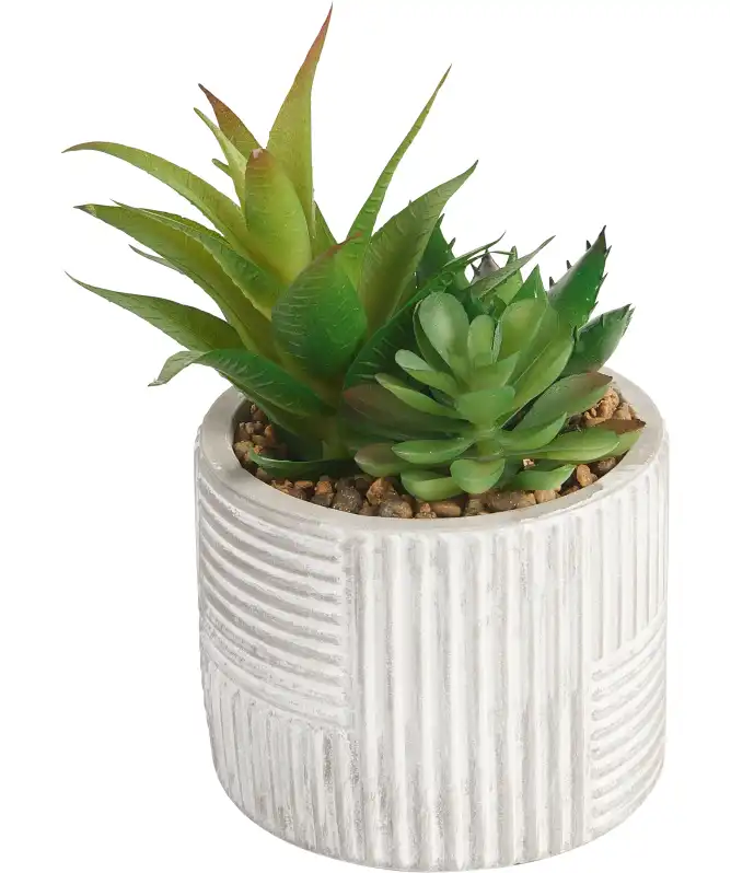 Kunstpflanze Sukkulente