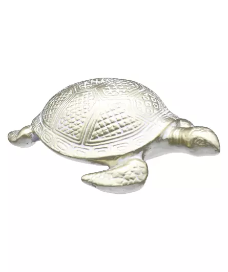 Schildpad Decoratie