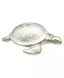 Schildpad Decoratie