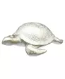 Schildpad Decoratie