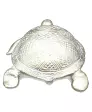 Schildpad Decoratie