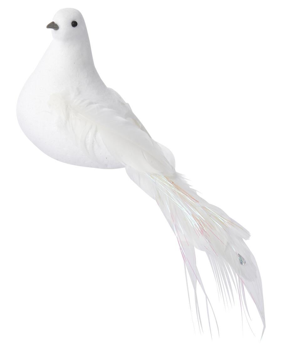 Decoratieve duif wit