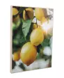 wandbilder-bunt-1197407003_3000_NB_H_KIK_02.jpg