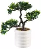 kunstbonsai-im-topf-weiss-gruen-1198968001_8223_HB_H_EP_01.jpg