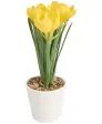Kunstblume