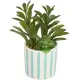Kunstsucculent in een gestreepte pot