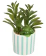 blauw/groen