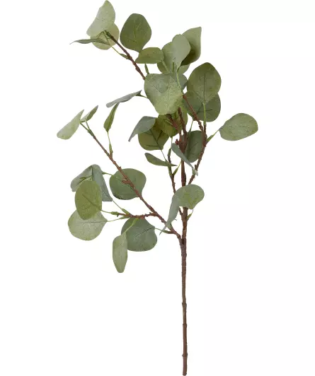 Kunstzweig Eukalyptus