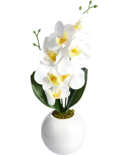 Kunstblume Orchidee