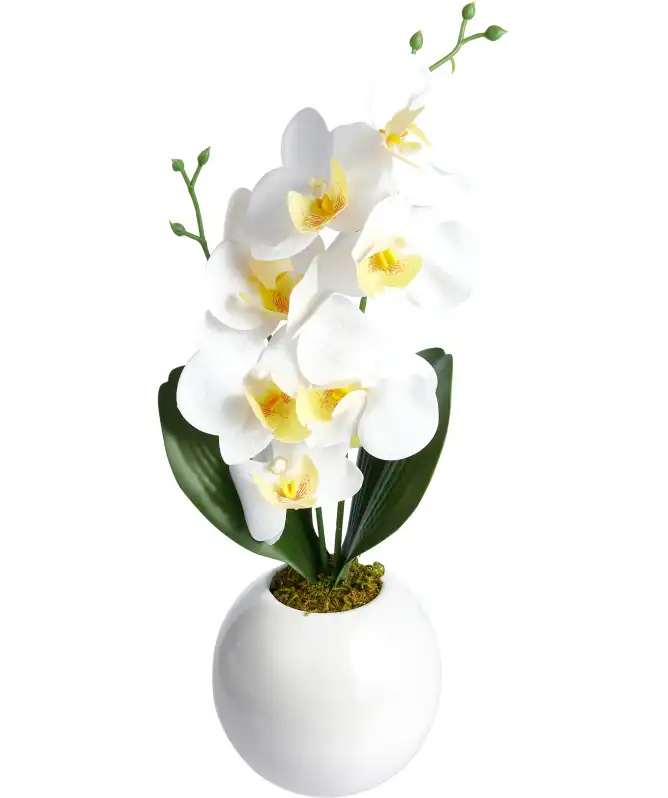 Kunstbloemen Orchidee