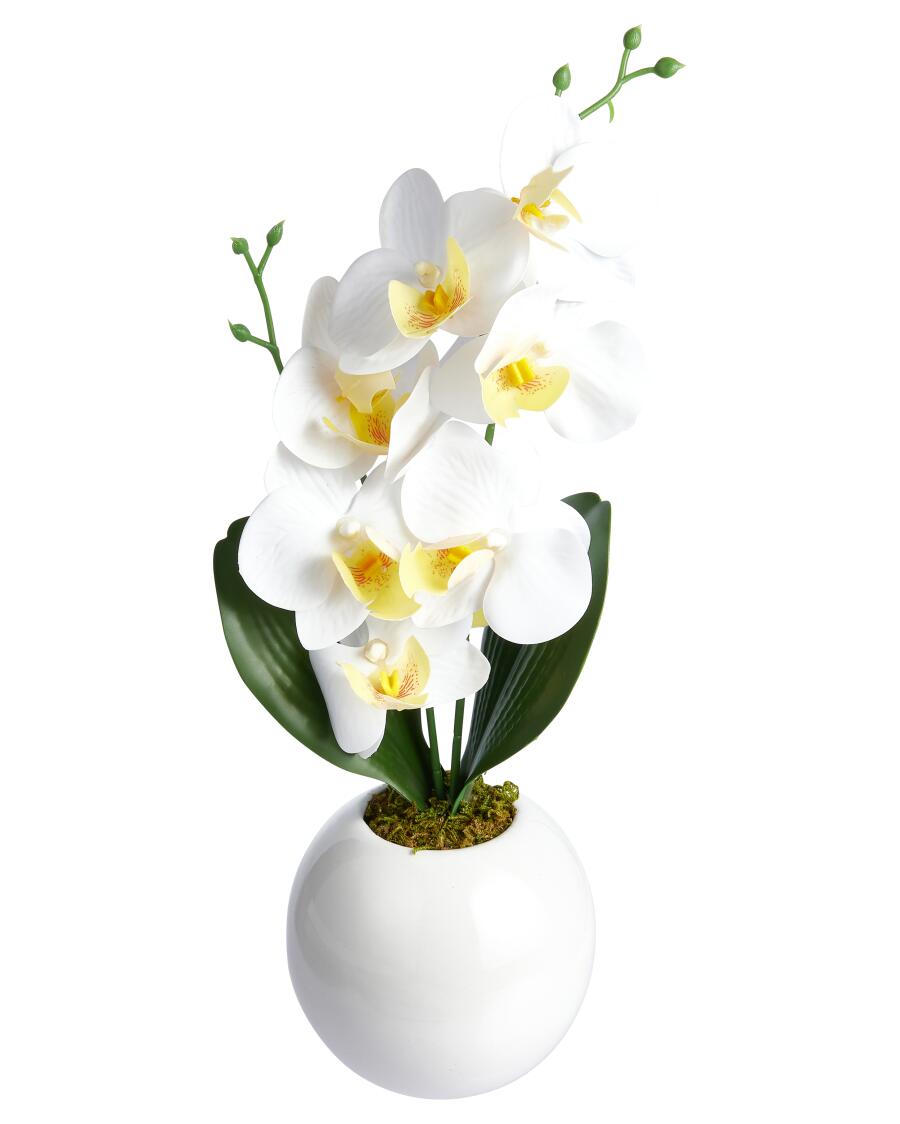 Kunstblume Orchidee weiß