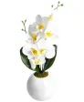 Kunstblume Orchidee