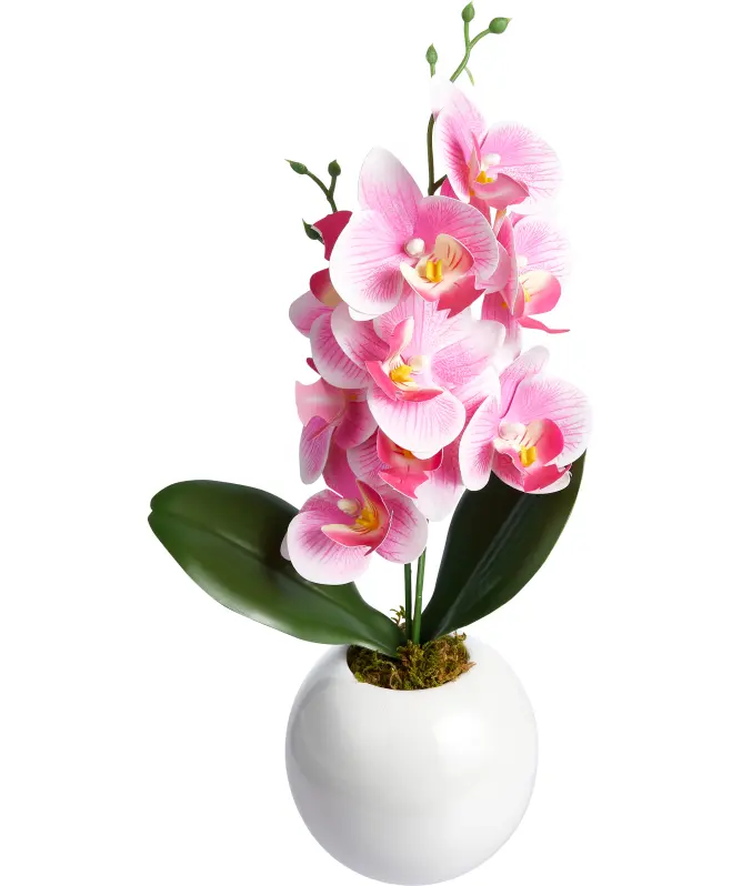 Kunstblume Orchidee