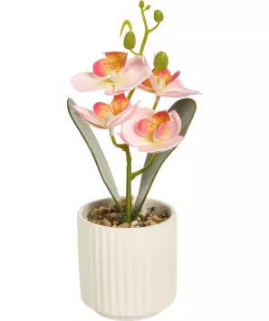 Orchidee kunst bloem