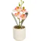 Kunstblume Orchidee